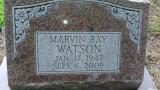 Marvin Ray WATSON